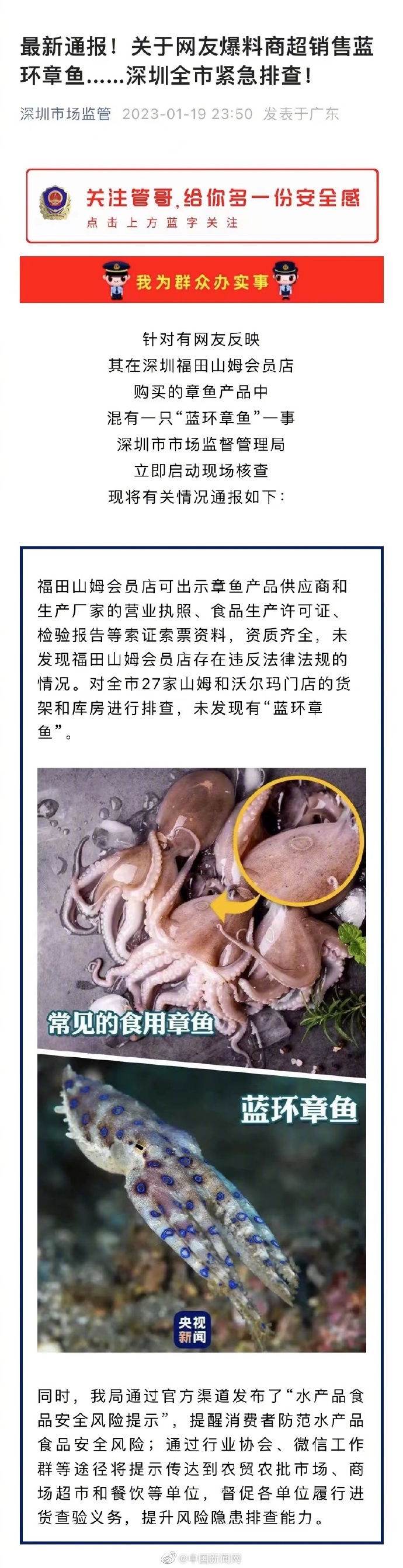 深圳市监局通报蓝环章鱼排查情况：未发现有蓝环章鱼