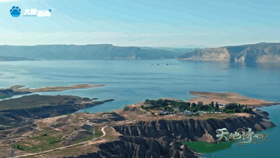 《天地诗心》生态篇 诗意世界开启，蓝色星球上线