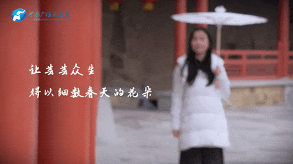 雨水｜执伞迎春雨 邂逅诗意中原