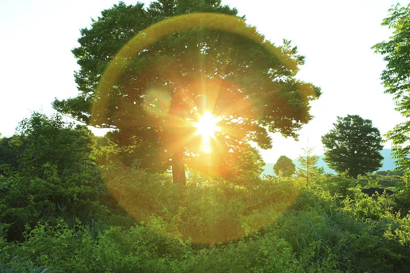 春分在天文学上是一个时间点,春分之时,太阳直射赤道,南北两半球获得