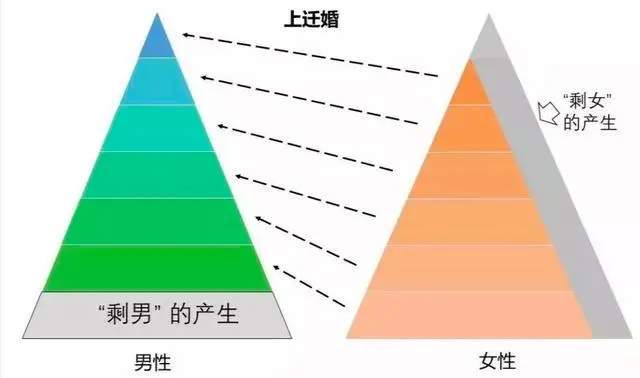 大象夜读|女子一年相亲125次,网友:在等大乘期修士?-大象网