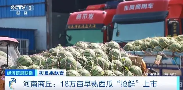 图片[3]-云南昆明榴莲大量上市，部分价格跌破每斤10元-小师评