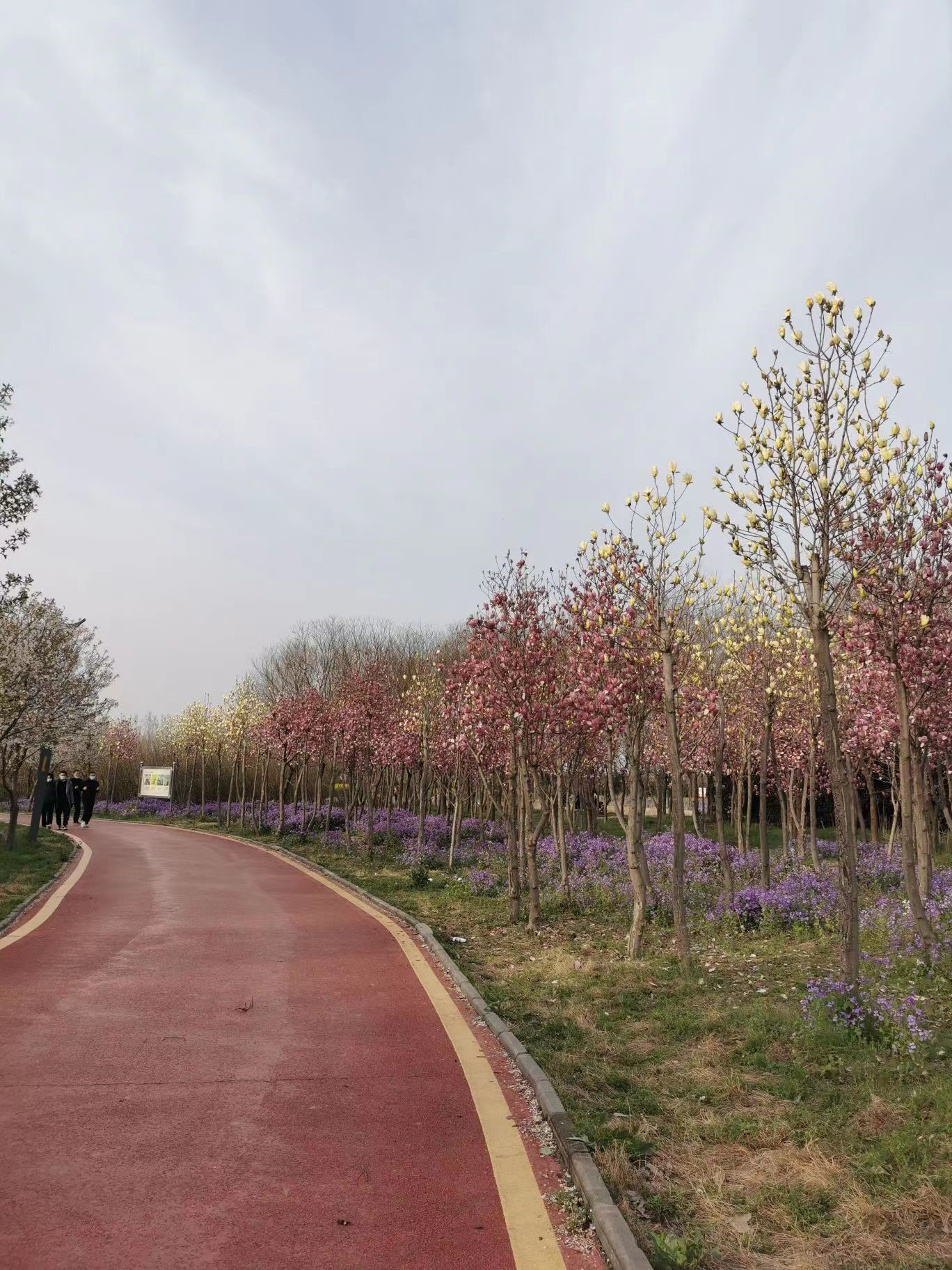 河南舞阳县文明城市创建硕果累累
