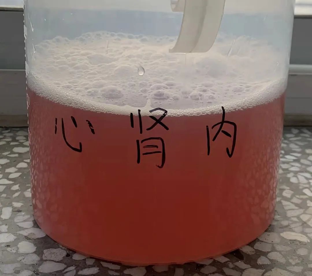 郑州5岁的孩子尿中带血