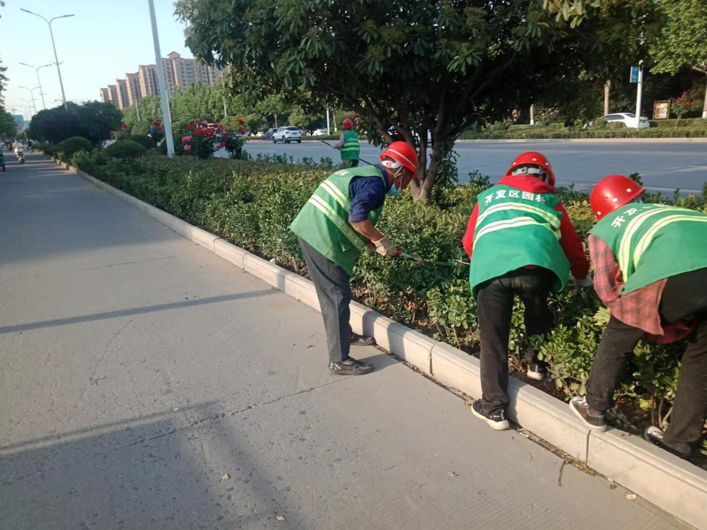 鹤壁开发区开展百日攻坚行动 深度清洁让城市焕新颜