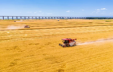 截至5月28日17时，河南已收获小麦856万亩
