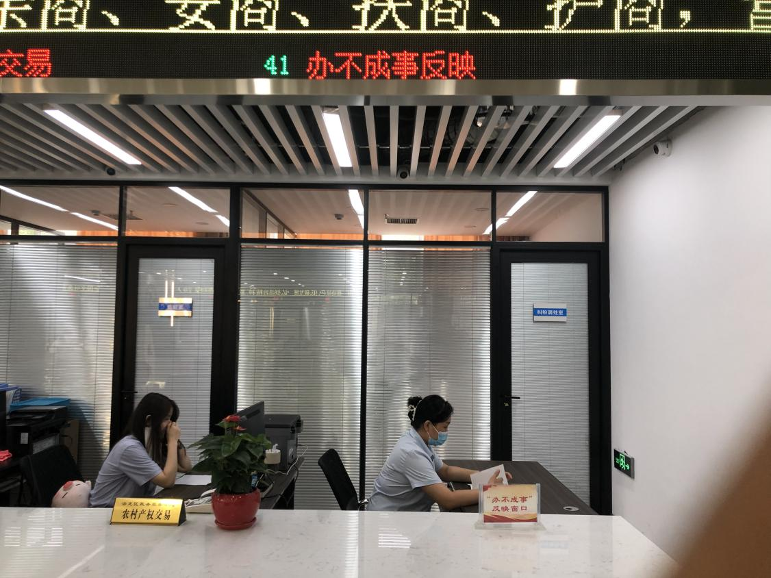 "反映窗口,专解政务服务领域的"疑难杂症"和办事群众的"急难愁盼"问题