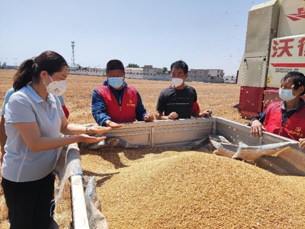 长葛市全力做好疫情期间“三夏”生产工作