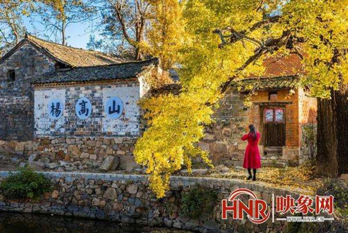 提升乡村振兴政策在农村的宣传效能