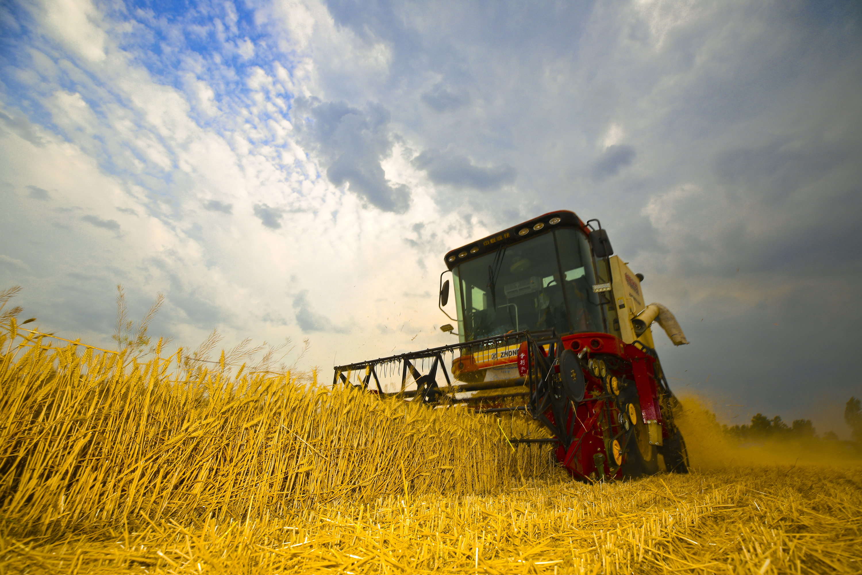 南阳:"黄金麦田"丰收忙-大象网