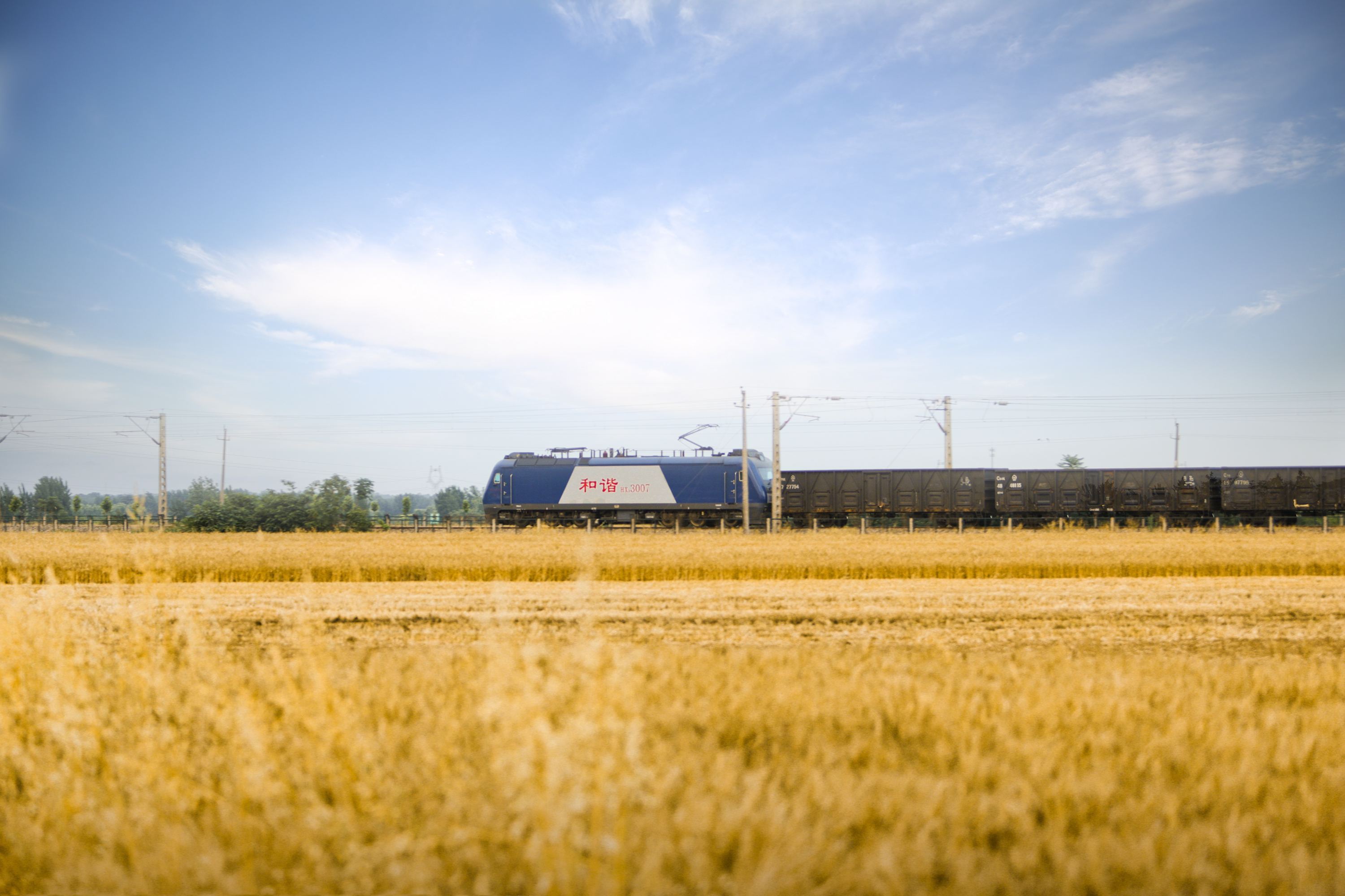 南阳:"黄金麦田"丰收忙-大象网