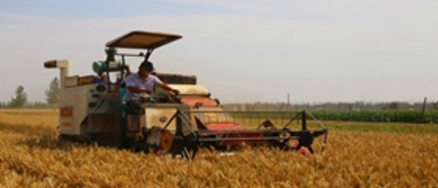 ����ؼ�ǿũ������ѵ 2000̨�����ո��ս�����ġ�