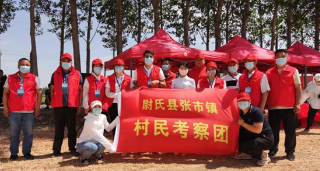 尉氏县张市镇：村民考察团走进麦田 喜迎乡村振兴丰收年