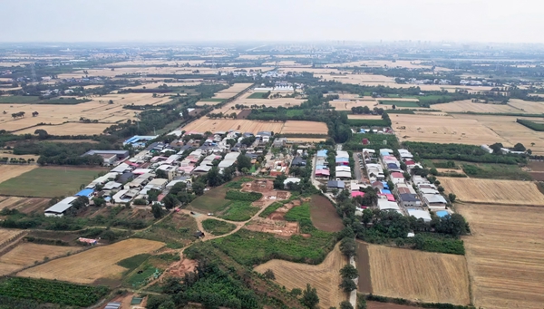 文化和自然遗产日打卡新郑裴李岗村探寻8000年农耕文明起源地