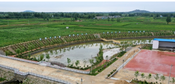 南阳市卧龙区：探索乡村振兴的幸福密码