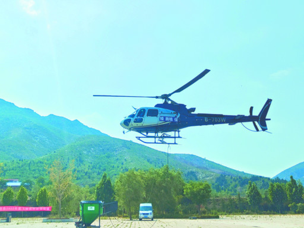 淇县1.05万亩飞播区域播撒3600公斤乡土树种