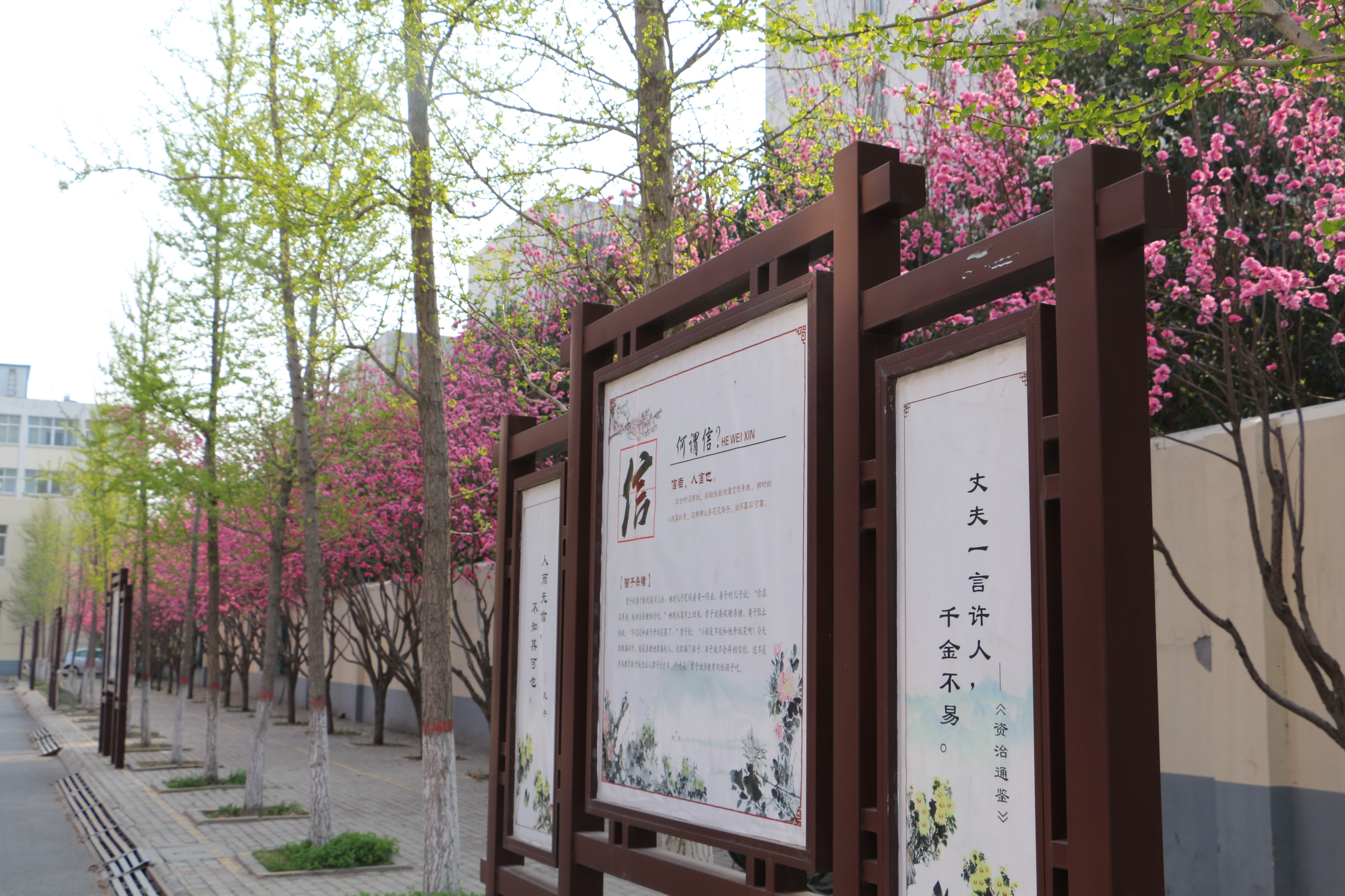 濮阳市华龙区高级中学因爱而聚共赢未来