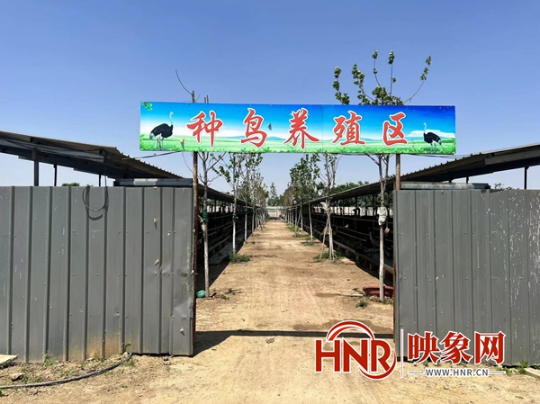 西平县蔡寨乡“以点带面”发展特色养殖产业 促进乡村振兴