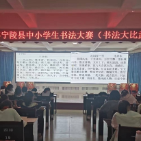 宁陵县教体局成功举办中小学生书法大赛
