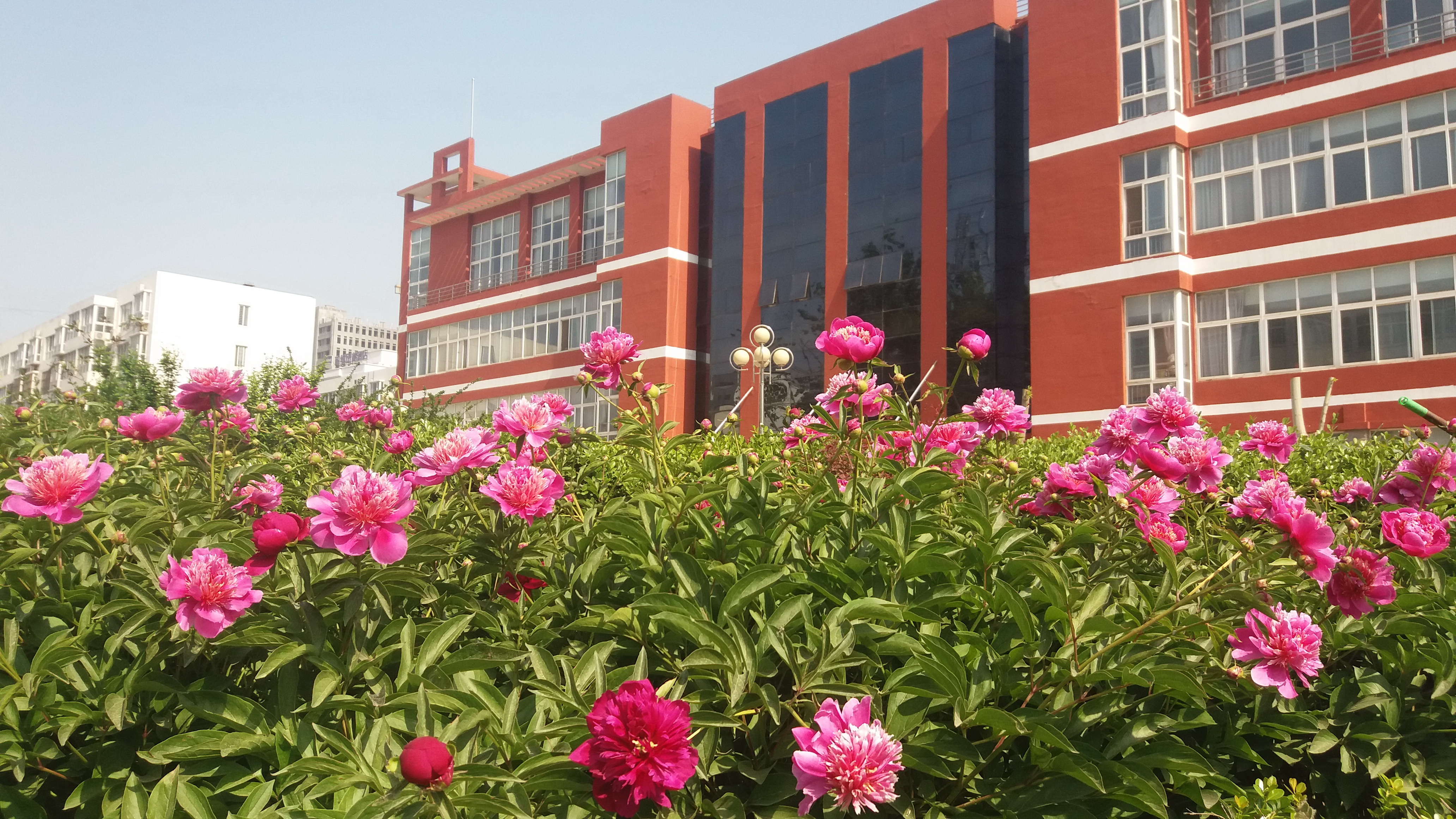 濮阳市华龙区高级中学因爱而聚共赢未来
