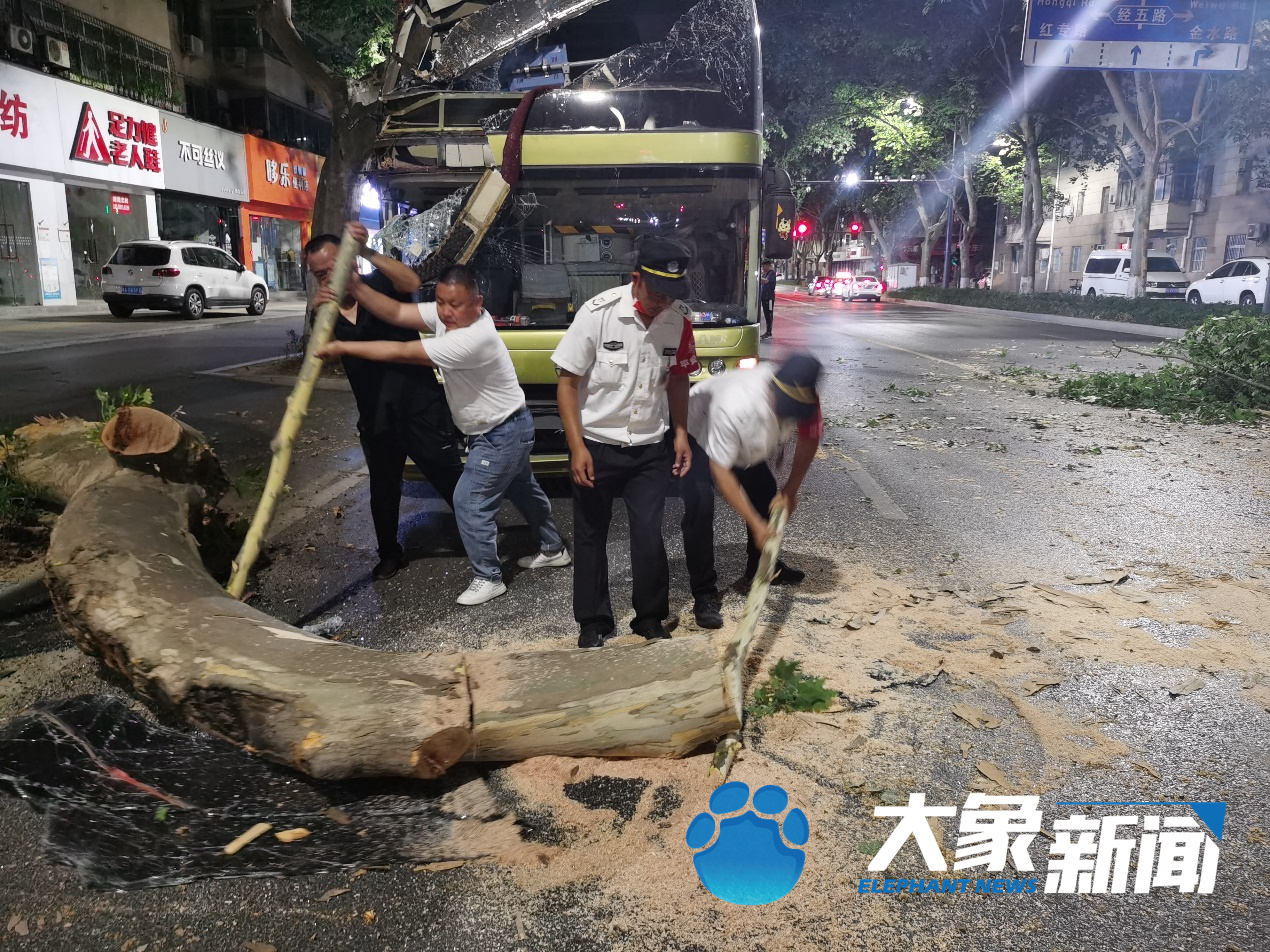 郑州旅游大巴凌晨撞上法桐树 前挡风玻璃被撞掉幸无人员受伤