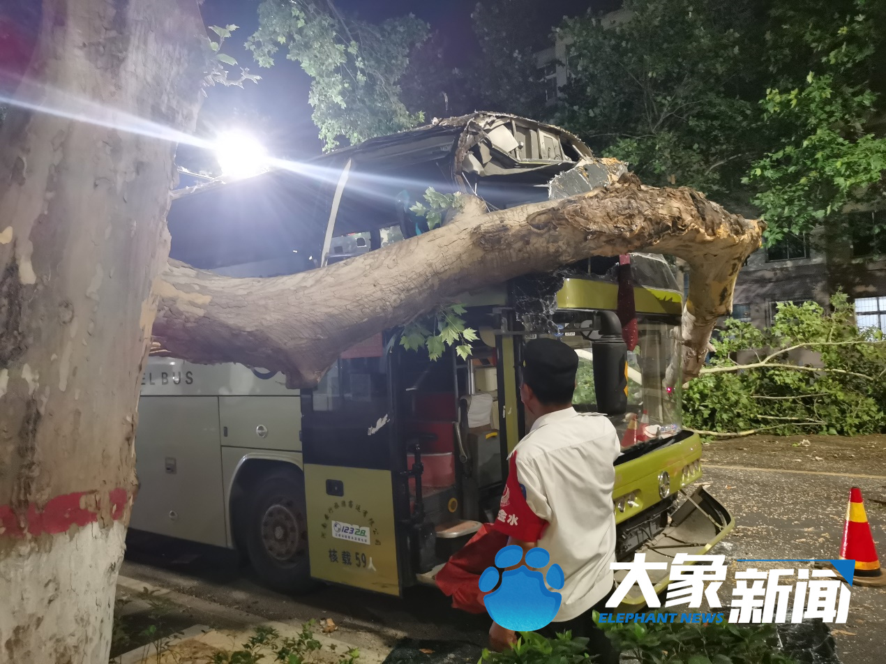 郑州旅游大巴凌晨撞上法桐树 前挡风玻璃被撞掉幸无人员受伤