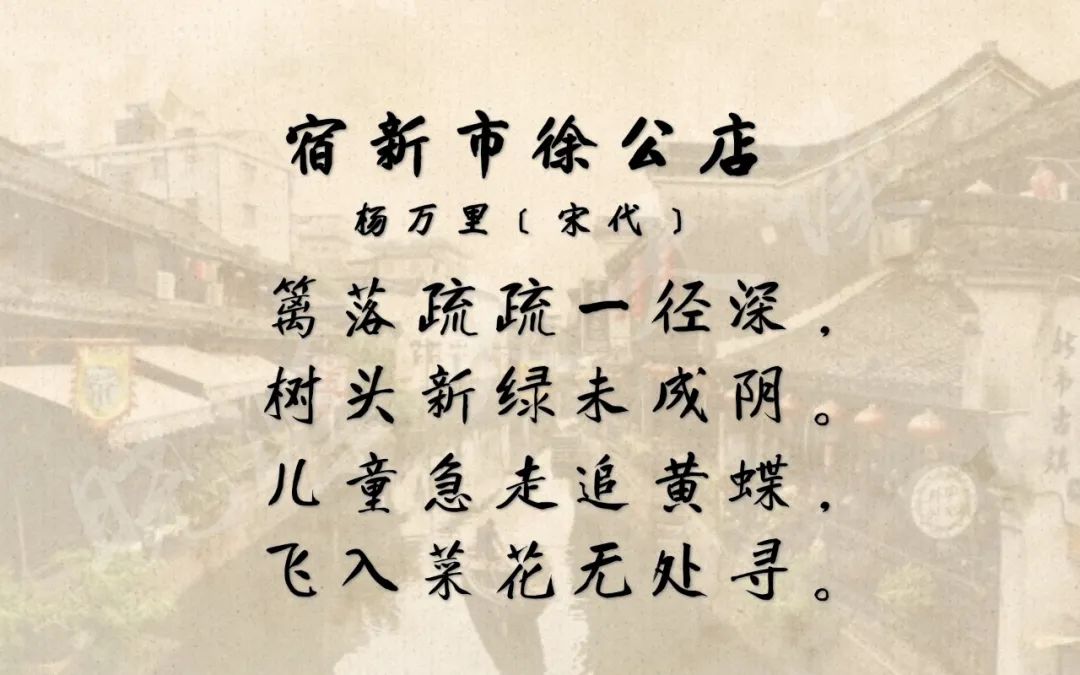 每天一首古诗词杨万里宿新市徐公店