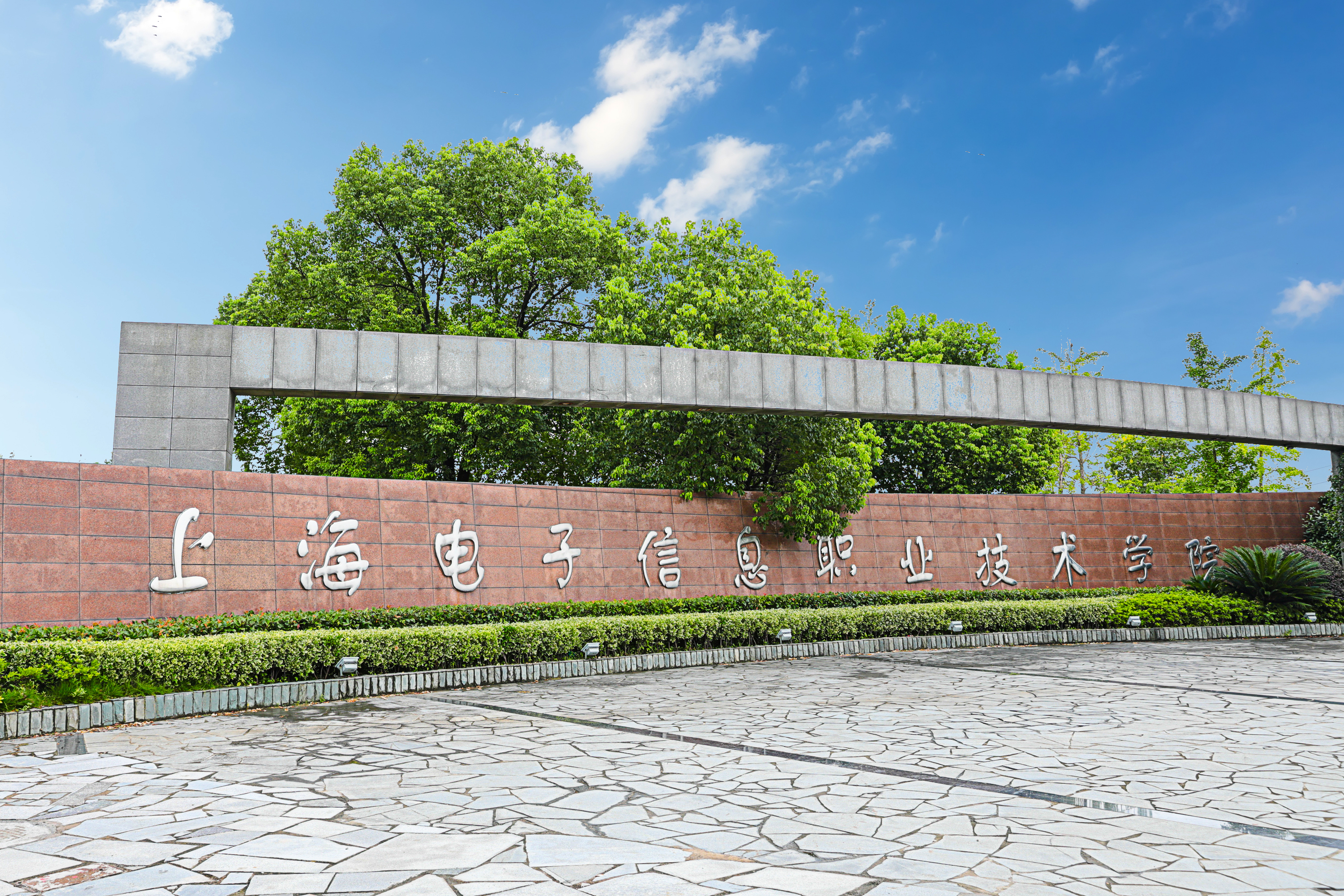 高招网络面对面-大象网