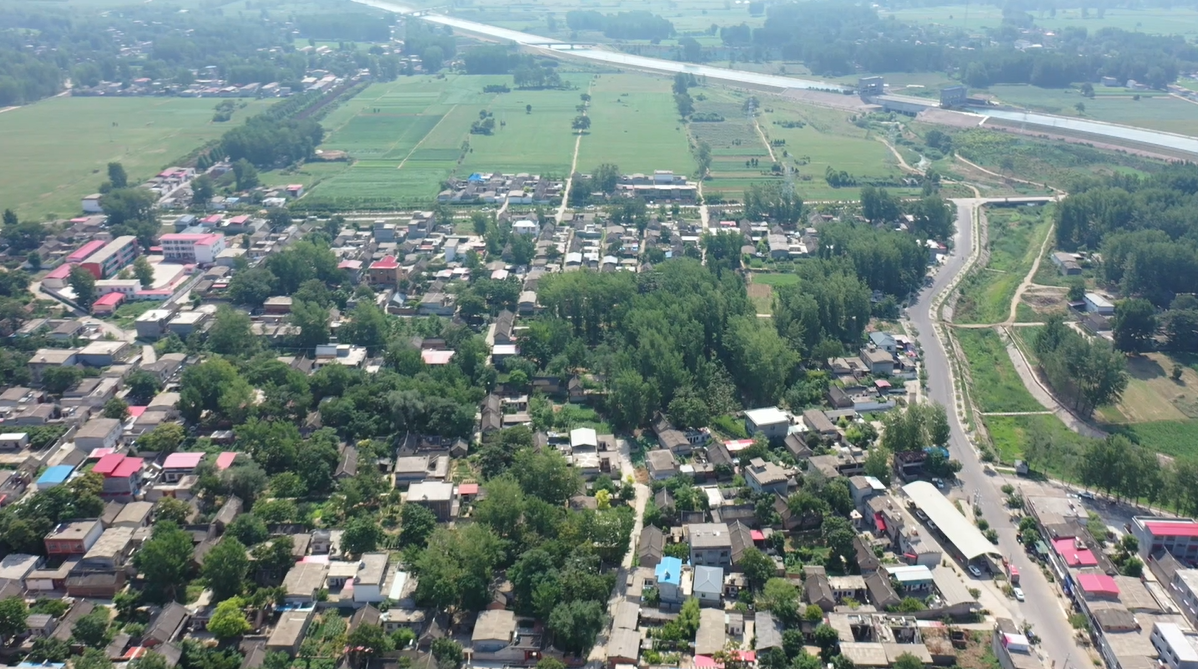 6月29日,记者走进郏县安良镇,只见南水北调碧波荡