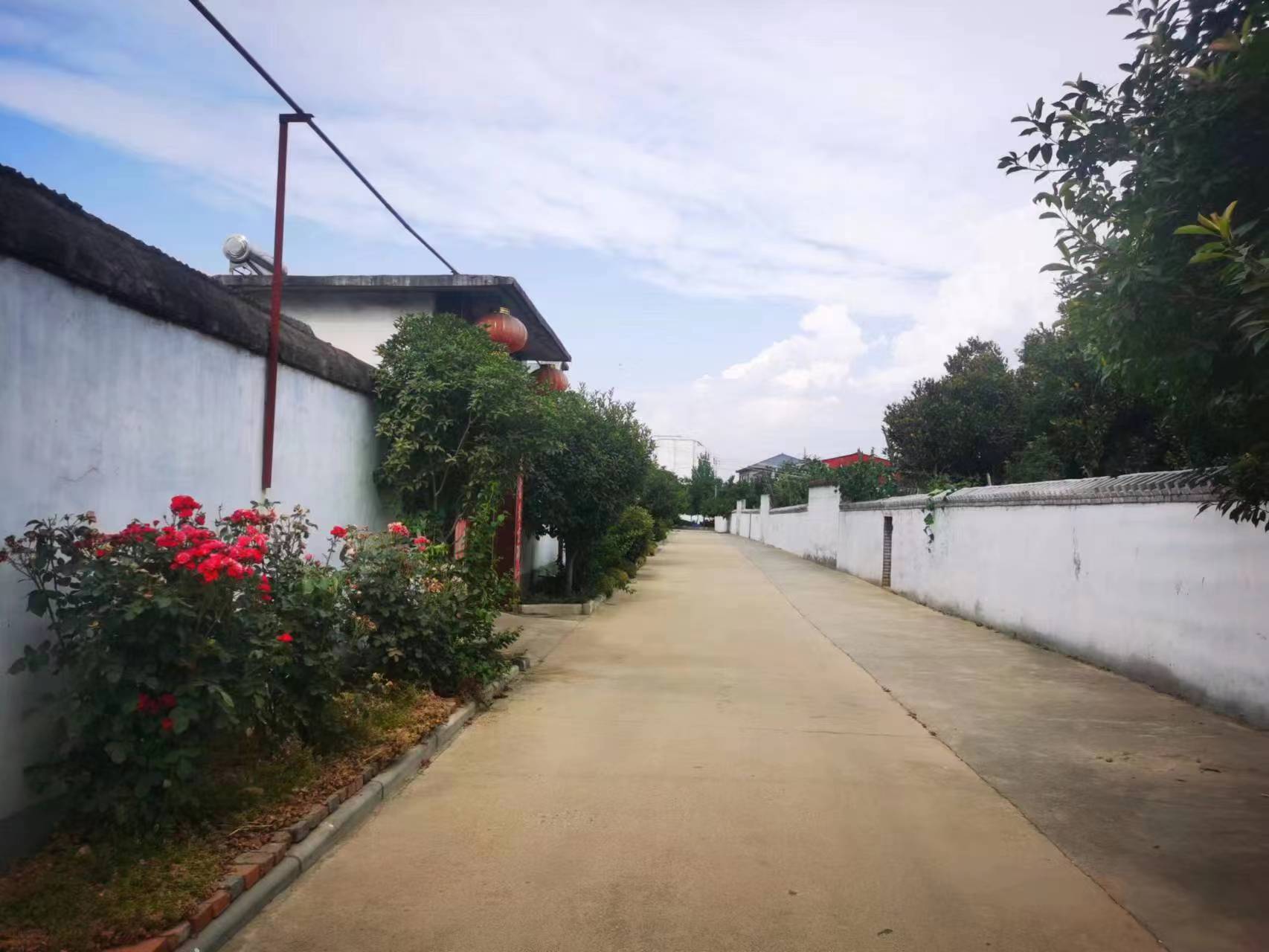 舞钢市杨庄乡人居环境从一时美变身时时美