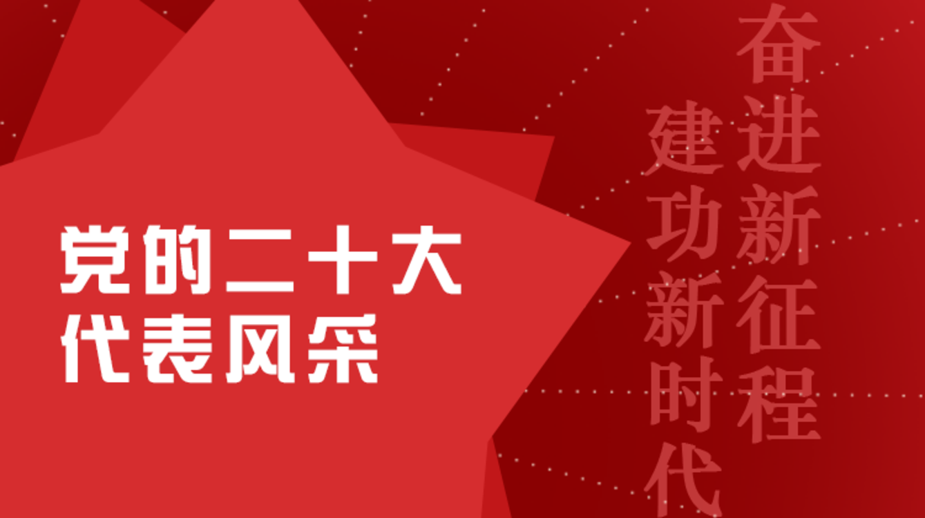 黨的二十大代表風采