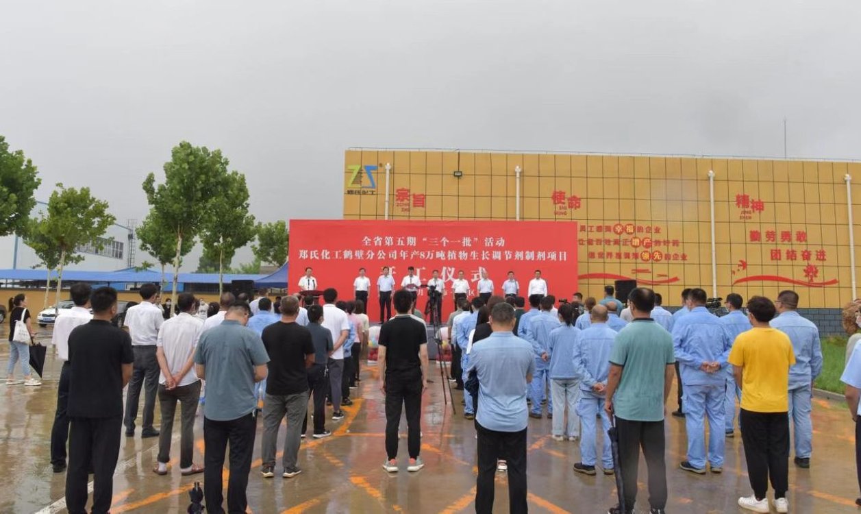 全省第五期“三个一批”项目建设活动鹤山区分会场集中开工仪式举行