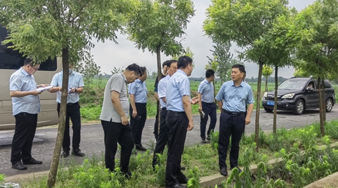 清丰县县委副书记、县长赵丹到双庙乡调研高标准农田建设工作