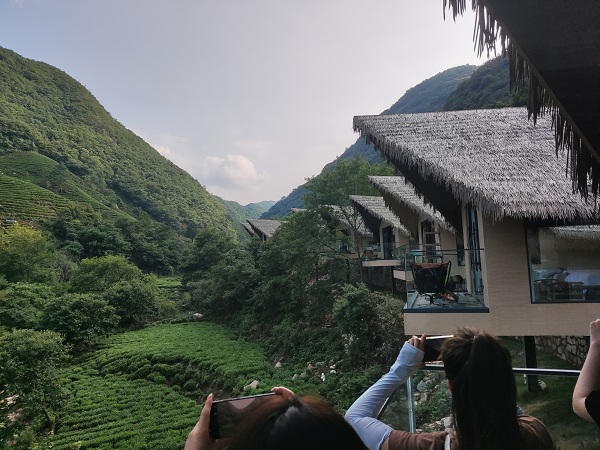 郝家冲嘢有茶主题民宿集群是集茶园山居名宿,采茶制茶体验,亲子游乐