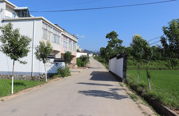 商城县达权店镇三个坚持绘就小街道新面貌