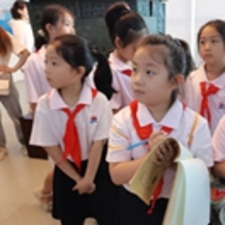 爱家乡 做主人 安阳市文博源小学“探索小队”开展暑期社会实践活动