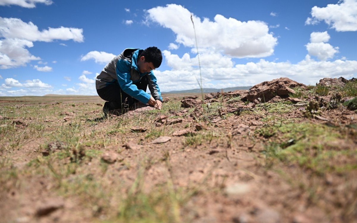 我国科考队首次在可可西里发现罕见“红山脉”