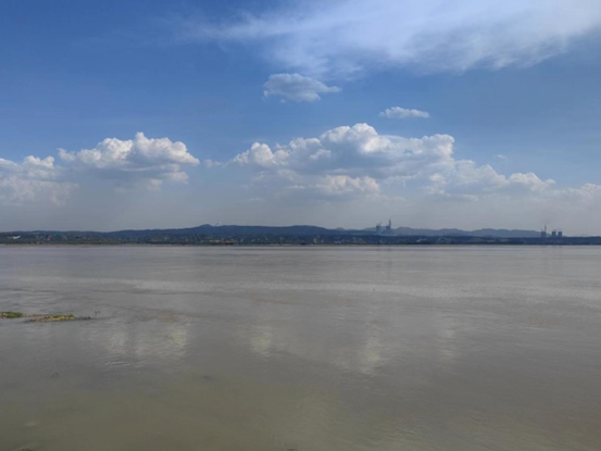 图为焦作温县黄河滩风景区   周渠 摄本次实践活动在收获满满的的前提