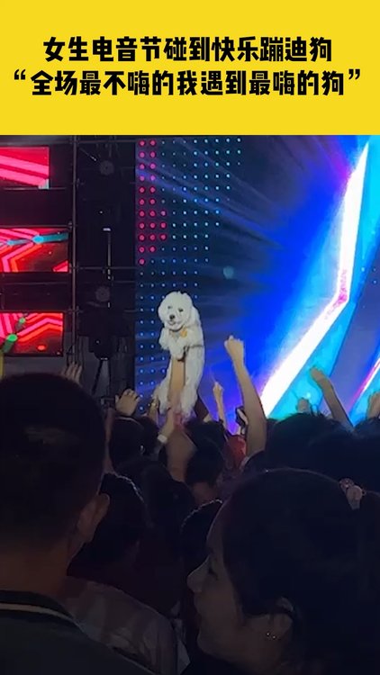 女子电音节碰到快乐蹦迪狗:全场最不嗨的我遇到最嗨的狗