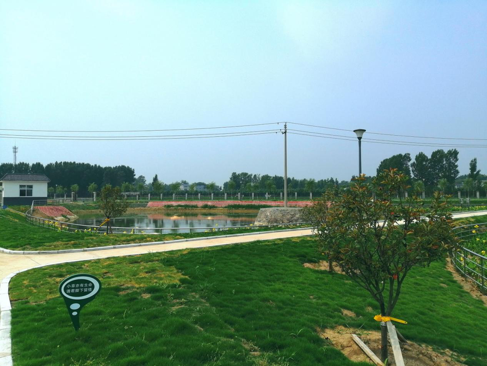 淇县：绿色成为高质量发展的鲜明底色