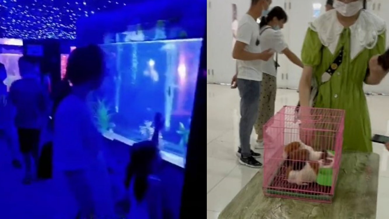 QQ截图20191120117642.jpg