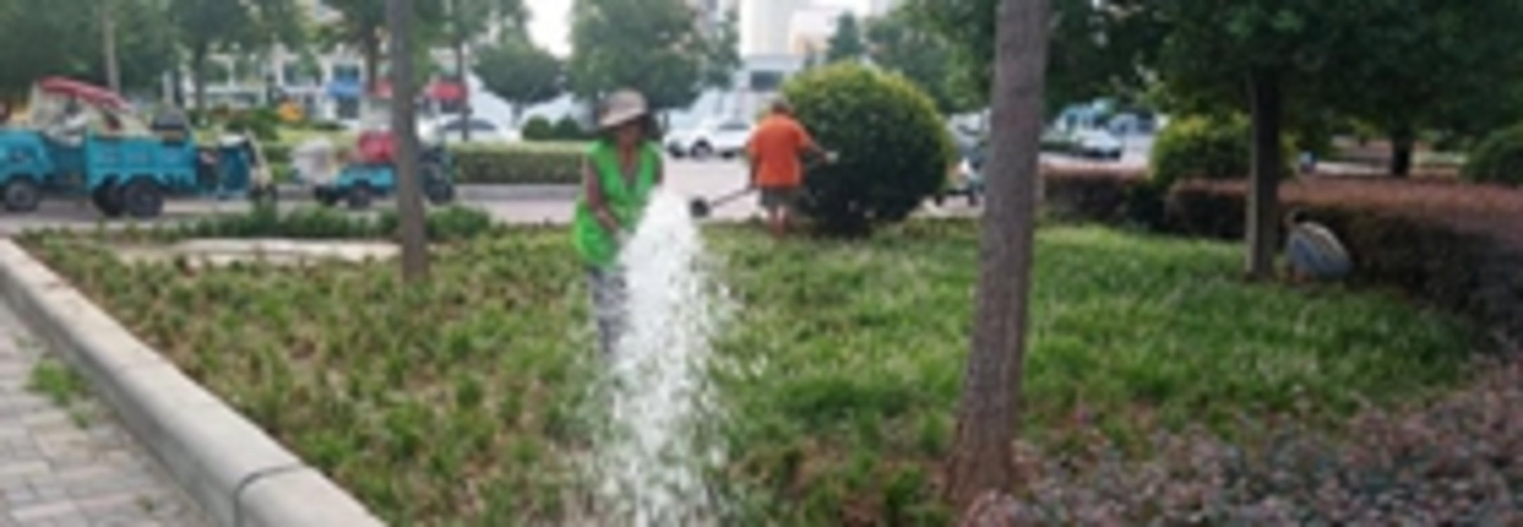 ��ӣ��Ӻ�����ֲ������ƽ�� ���̡����������пռ�