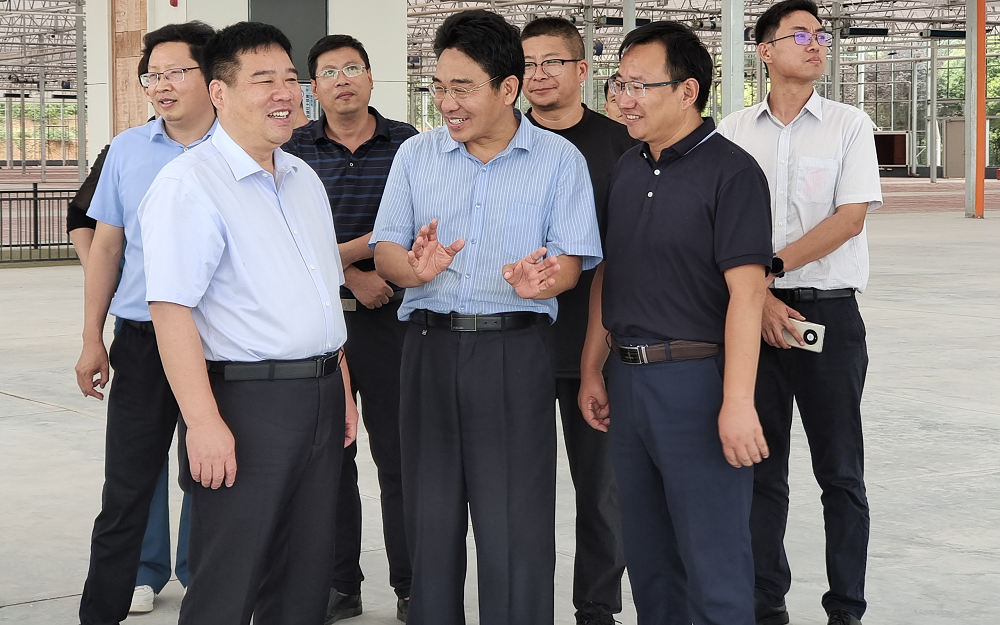 洛阳市副市长韩治群到洛龙区调研乡村振兴工作