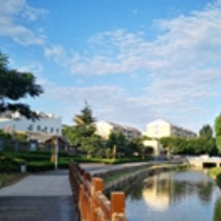 新乡高新区：扎实做好“拆墙透绿”后半篇文章