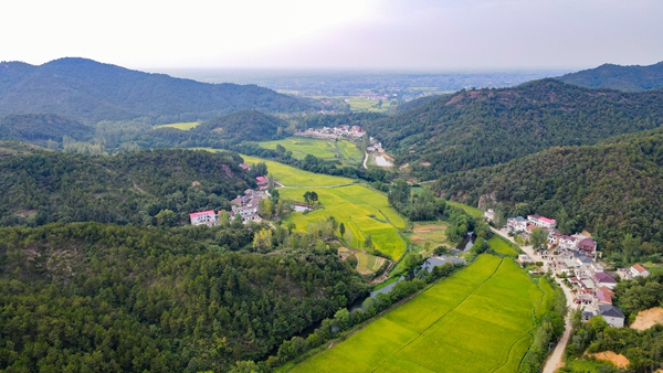 商城县汪桥镇村美民富产业兴文旅春风拂面来