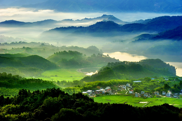 信阳商城达权店镇: 全力巩固人居环境"净,绿,亮"成果-大象网