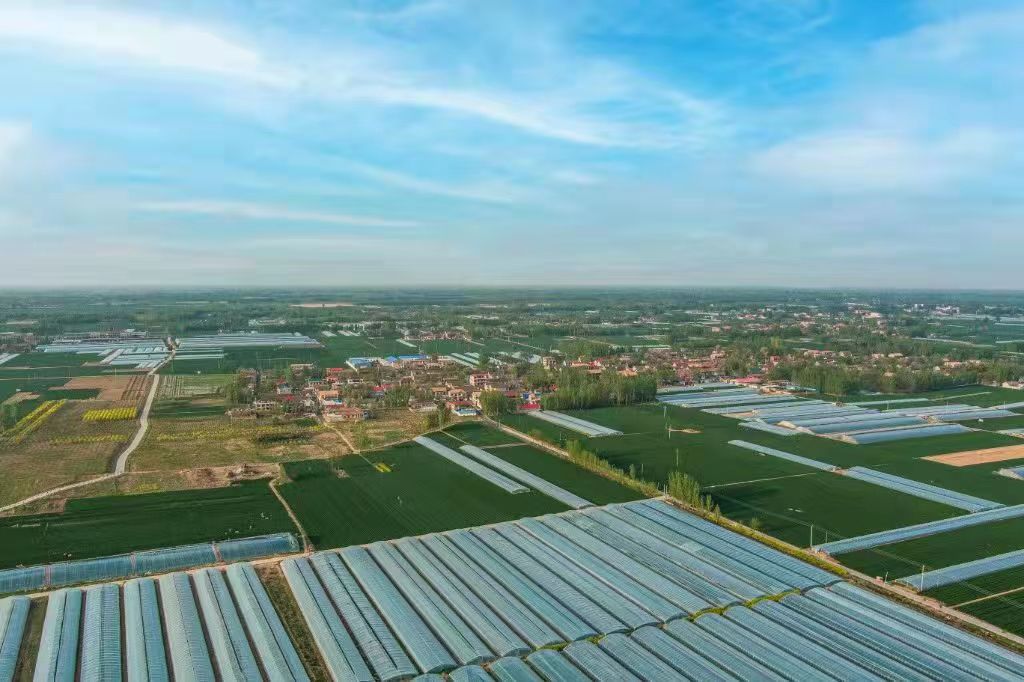 非凡十年出彩安阳内黄县梁庄镇五星支部创建照亮乡村振兴路