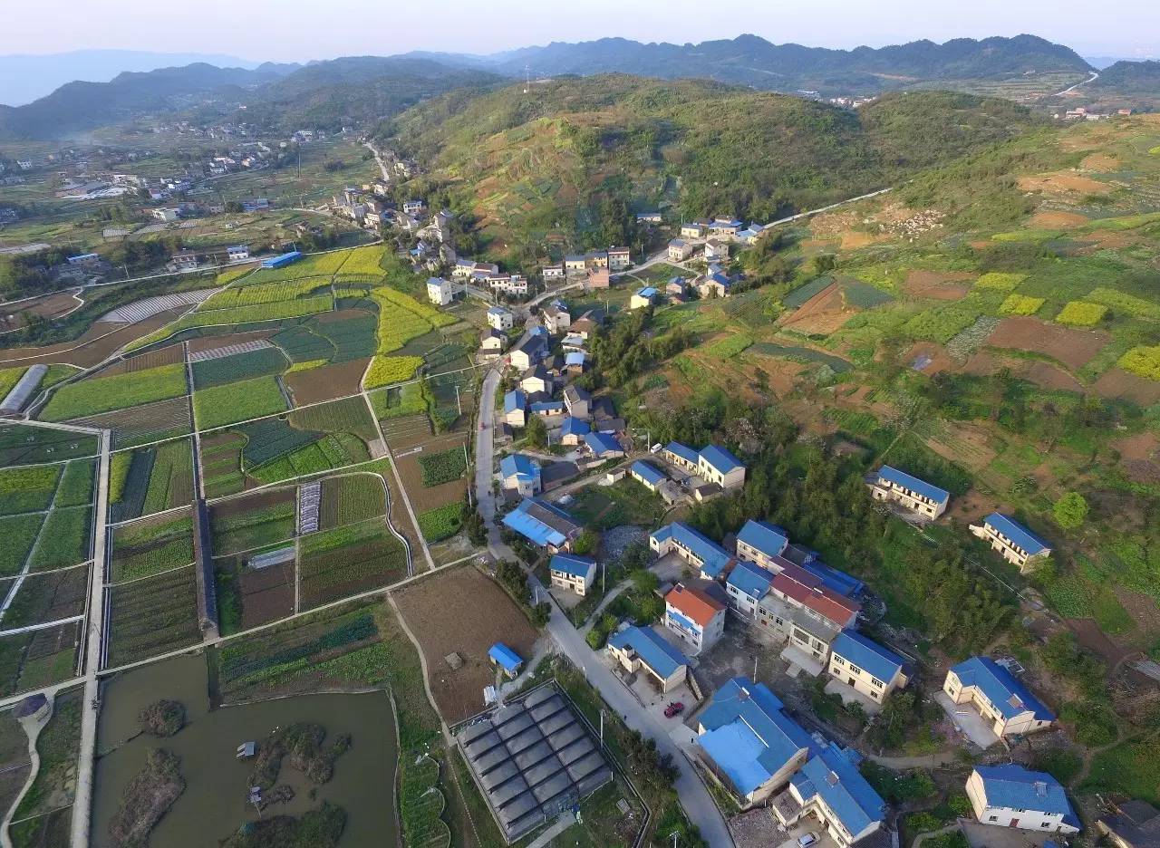 厘清城乡融合与乡村振兴关系