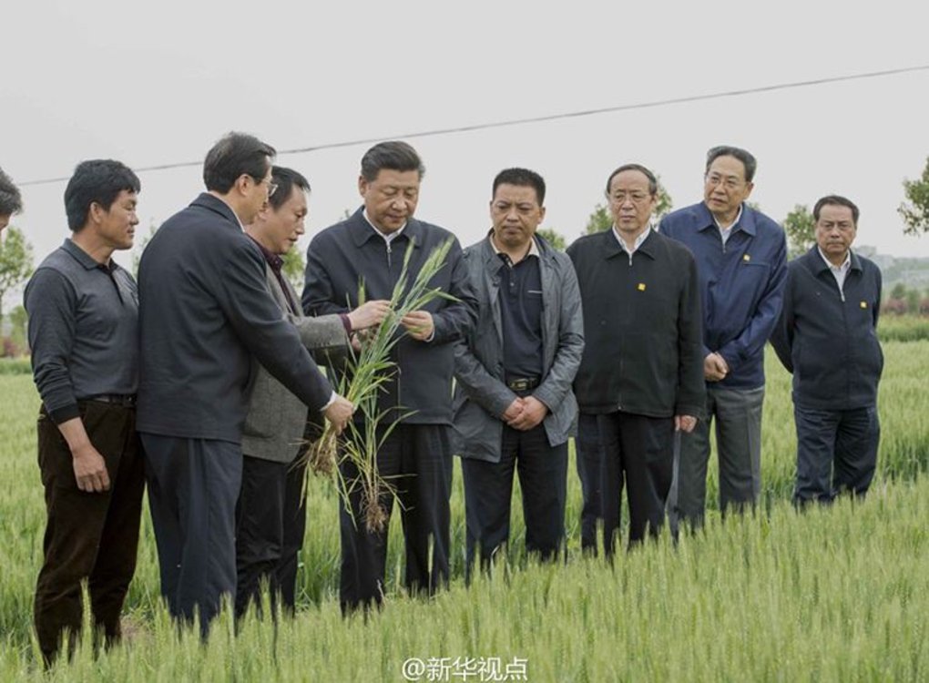 牢牢把住粮食安全主动权