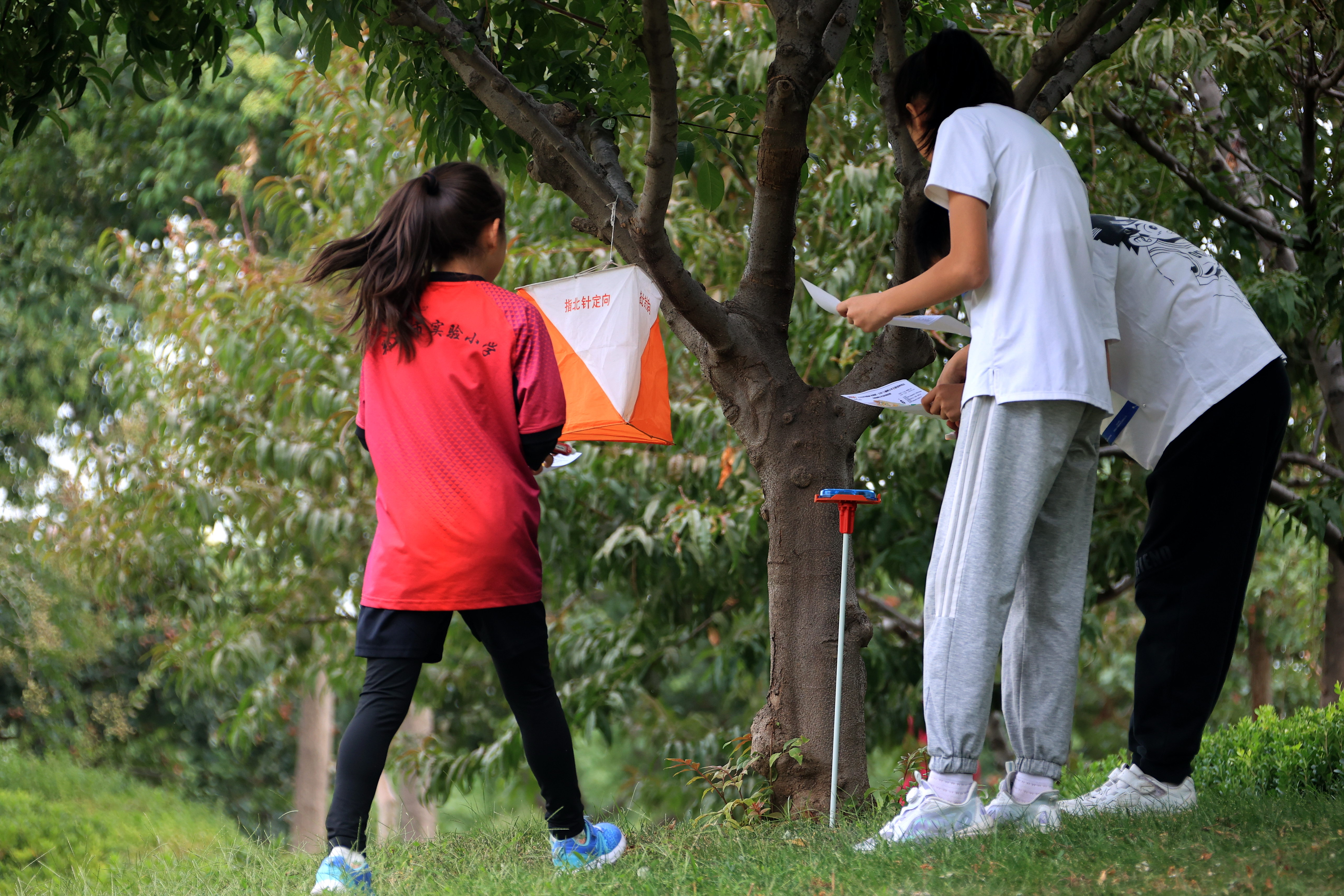 打卡城市美好磨练坚强意志奔跑吧少年河南省青少年定向挑战赛郑州举行
